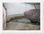 Dierentuin Burgers  Zoo 040 * 3648 x 2736 * (4.18MB)
